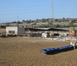 georgia_ktinotrofia_3